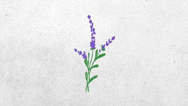 Flower Element 08