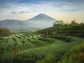 rice terraces in Magelang, Central Java, Indonesia with Sumbing mt. In the background