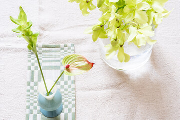 夏の花,トロピカル,北欧のインテリア