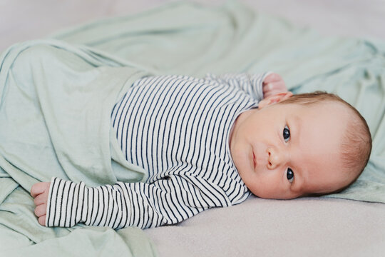 Portrait of 2 weeks old baby. Newborn baby at first months of life.