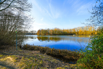 View of the forest lake near Saerbeck and the surrounding landscape. Nature in winter near the Saerbeck bathing lake.
