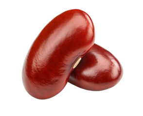 Closeup view of shiny red kidney beans isolated on a clean background perfect for cooking guides