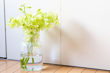 グリーンのデンファレ,夏の花,トロピカル