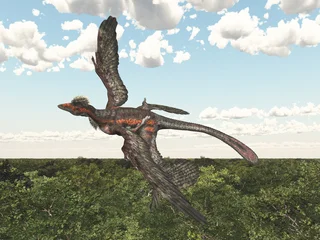 Acrylglasbilder Dinosaurier Dinosaurier Microraptor  © Michael Rosskothen