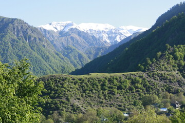 Naklejka premium mountain landscape in summer