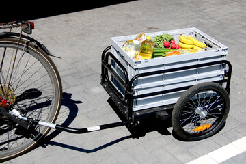 bicycle trailer with groceries