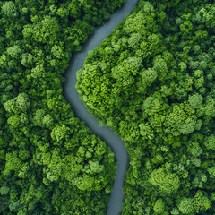 Aerial View of Winding River Meandering Through Dense Green Forest, Scenic Natural Landscape