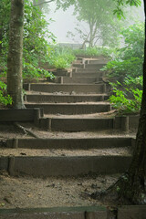 Mystical stairs in the forest with rain and fog, Kobe , Japan