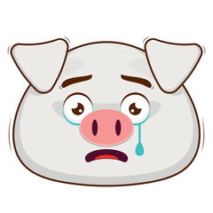 pig scared face cartoon cute