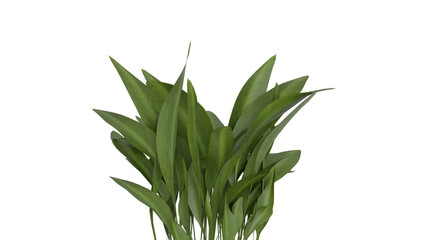 3D Render a plant with green leaves in a white vase