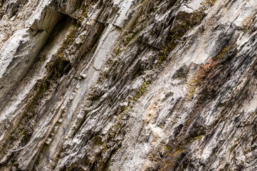 Moss on the mountain. Texture of stone