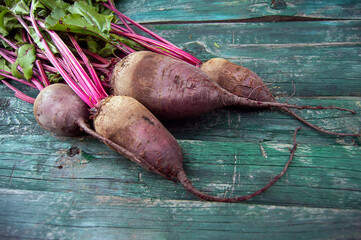 fresh farmer beetroot on an vintage green wooden background