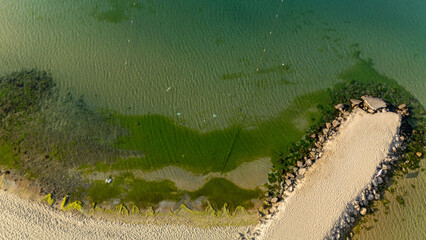 Aerial View Green Ocean Algae Coastline Sand