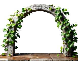 Stone Archway Adorned with Lush Green Vines