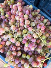 bunch of grapes in the market