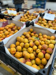 fresh fruit at the market