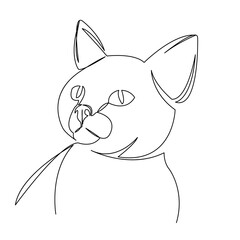 One continuous single drawing line art flat doodle pet, animal, cute, playful, domestic, feline, tabby, kitty. Isolated image hand draw contour on a white background
