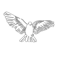 Naklejka premium One continuous single drawing line art flat doodle dove, bird, pigeon, animal, wing, peace. Isolated image hand draw contour on a white background 