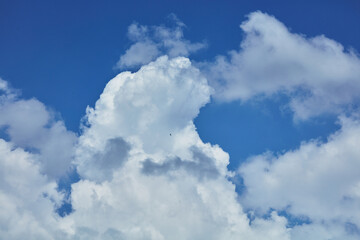 Blue sky with a dramatic formation of white cumulus clouds, showcasing a vibrant and expansive natural atmosphere on a clear day.