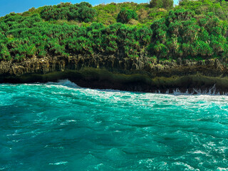 Naklejka premium Emerald Coast Embrace: Captivating aerial view of azure waves crashing against a verdant coastline, celebrating nature's breathtaking spectacle.