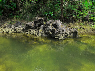 Serene Lakeside Rock Formation: A tranquil view of a dark, textured rock formation emerges gracefully from the shimmering waters of a picturesque lake, surrounded by lush.