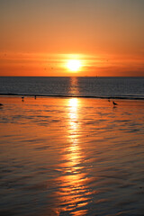 Bright sunset at the sea on the coast near Calais.
