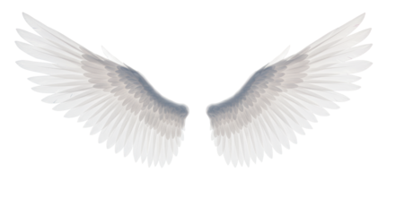 Majestic white feathered wings outstretched upward against an ethereal gradient background with soft bokeh, symbolizing aspiration and unlimited potential
