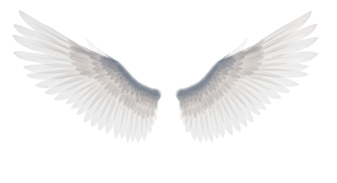 Majestic white feathered wings outstretched upward against an ethereal gradient background with soft bokeh, symbolizing aspiration and unlimited potential