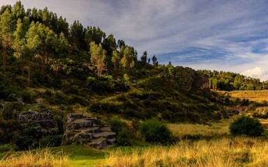 Scenic view of lush greenery and rocky steps.