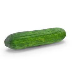 Fresh Whole Cucumber Isolated on Transparent Background