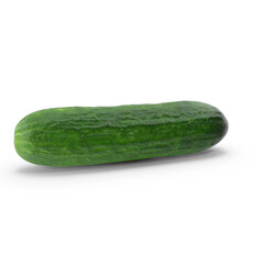 Fresh Whole Cucumber Isolated on Transparent Background