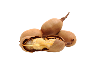 A group of ripe tamarind pods with one cracked open revealing the sticky fibrous pulp and seeds within its brittle brown shell.