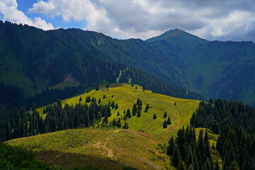 Obraz premium Ile-Alatau National Park. A mountain gorge with different vegetation.