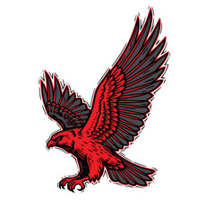 Fototapeta premium Red hawk flying vector