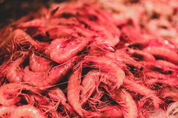 Gamba roja de Palamós. Marisco fresco y de temporada. Producto km 0 de Costa Brava.