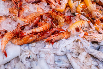 Gambas y sepia. Prodcuto de pescadería fresco.