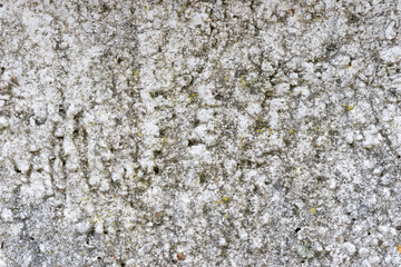 Dirty stone wall texture with moss in the stone. Stone texture picture