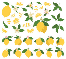 Lemons illustration, citrus fruits, green leaves, white flowers. Clipart set, yellow green colors. Baby shower design elements. Party invitation, birthday celebration. Spring or summer decoration set
