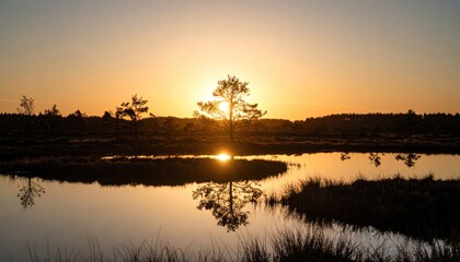 Obraz premium Tranquil Sunset Reflection on Wetland Water, Silhouette Tree Landscape View