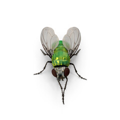 Realistic Green Housefly Insect Isolated on Transparent Background