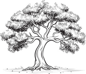 Olive Tree Vector Black Icon with Leaves Stylized Olive Tree Black Logo Silhouette