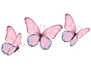 butterfly positive quote hand drawn spring flock of butterfly 	