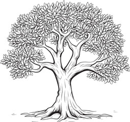 Olive Tree Vector Black Icon with Fronds Black Olive Tree Simple Vector Logo