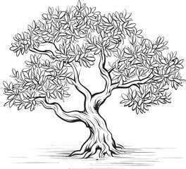 Olive Tree Black Vector Logo with Branches Minimal Olive Tree Black Silhouette Icon
