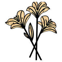 lily black and yellow flower