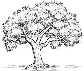 Olive Tree Black Vector Logo with Roots Detail Olive Tree Black Vector Icon with Leaf Silhouette