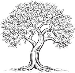 Olive Tree Black Vector Icon with Leaf Silhouette Olive Tree Black Vector Logo with Branches Design
