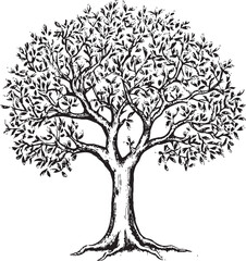 Olive Tree Black Vector Logo with Branches Design Simple Olive Tree Black Vector Icon