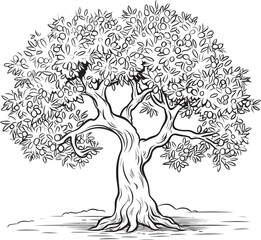 Olive Tree Black Vector Logo with Leaves Detail Olive Tree Black Silhouette Vector Icon