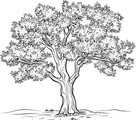 Olive Tree Black Silhouette Vector Icon Olive Tree Vector Black Logo with Roots Design